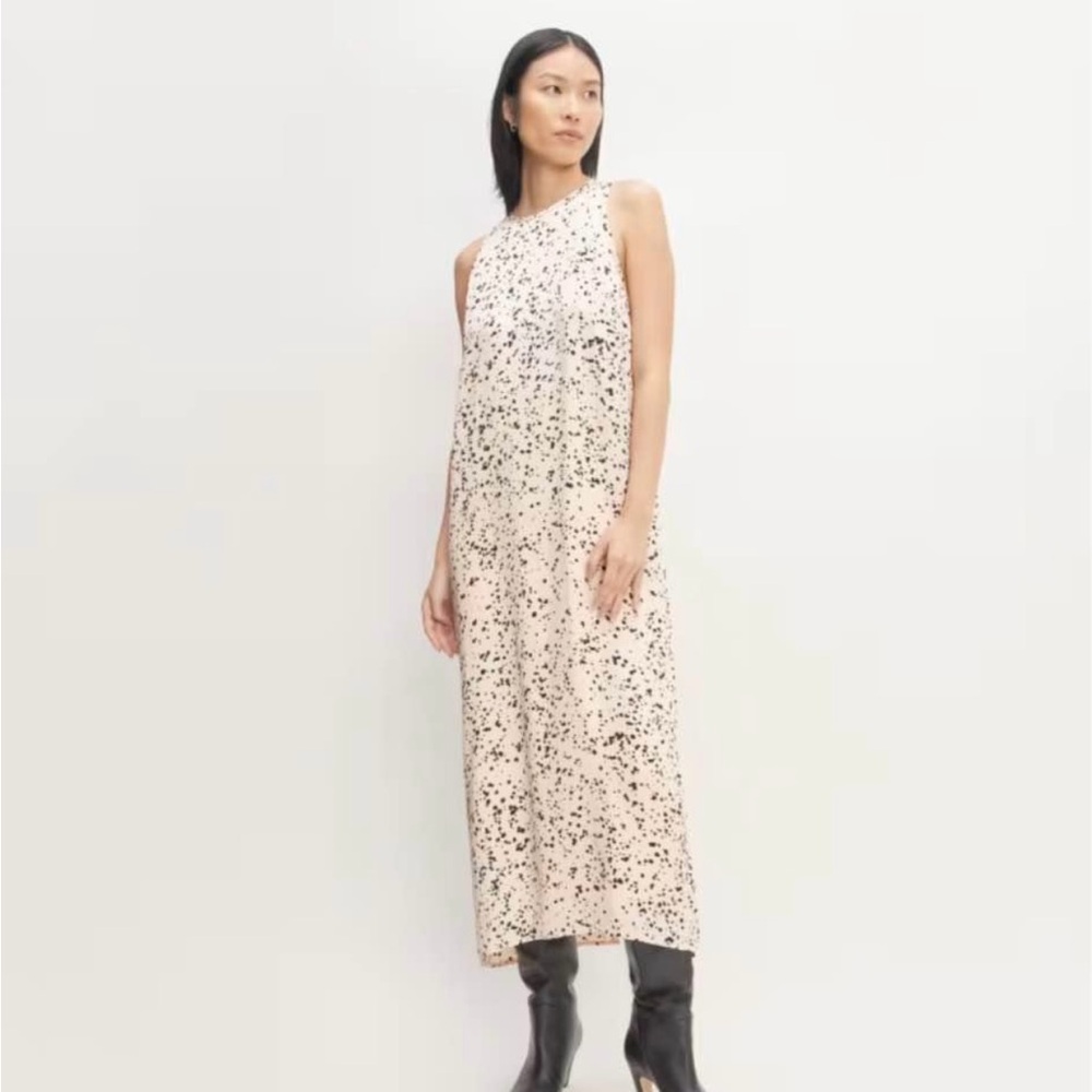 Everlane Cream and Black Speckled Maxi Dress